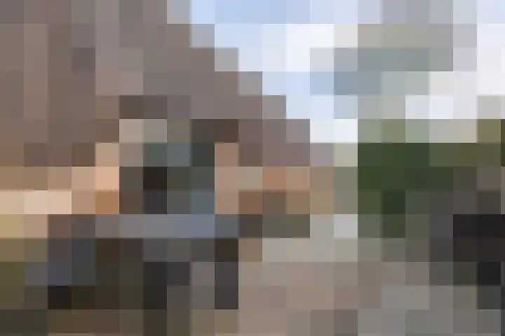 Stadhoudersweg 58 St.-Annaparochie thumbnail 65