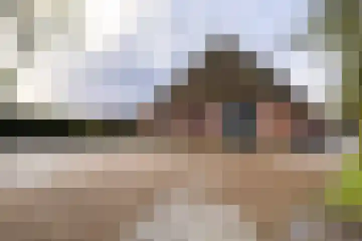 Stadhoudersweg 58 St.-Annaparochie thumbnail 69