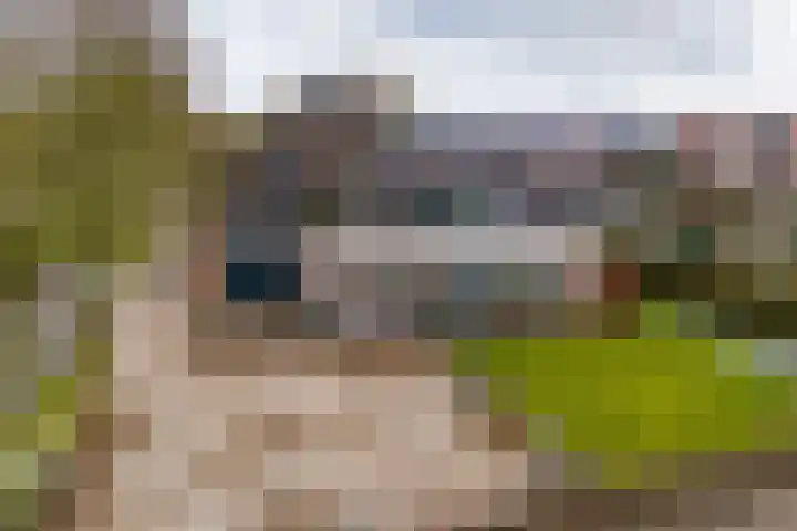Stadhoudersweg 58 St.-Annaparochie thumbnail 7