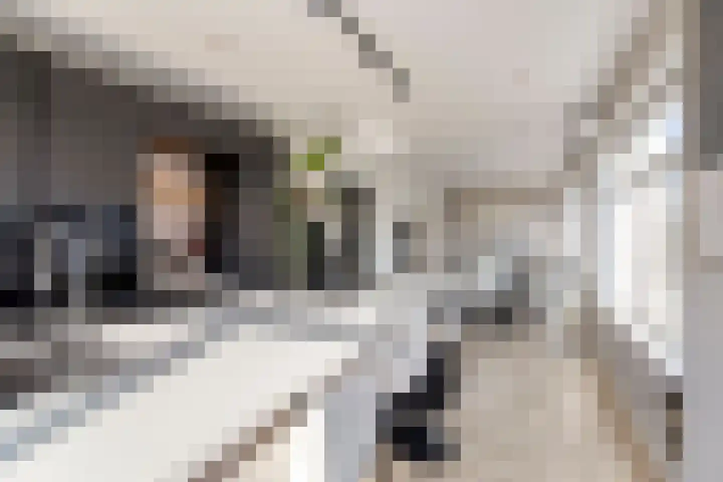 Stadhoudersweg 85 D Rotterdam thumbnail 13
