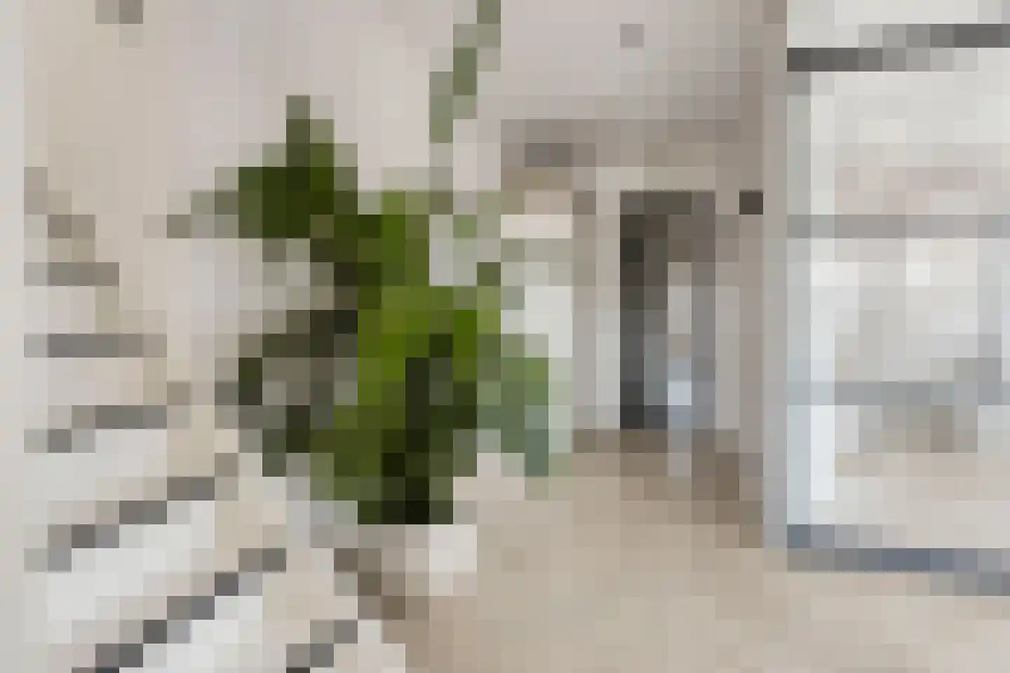 Stadhoudersweg 85 D Rotterdam thumbnail 17
