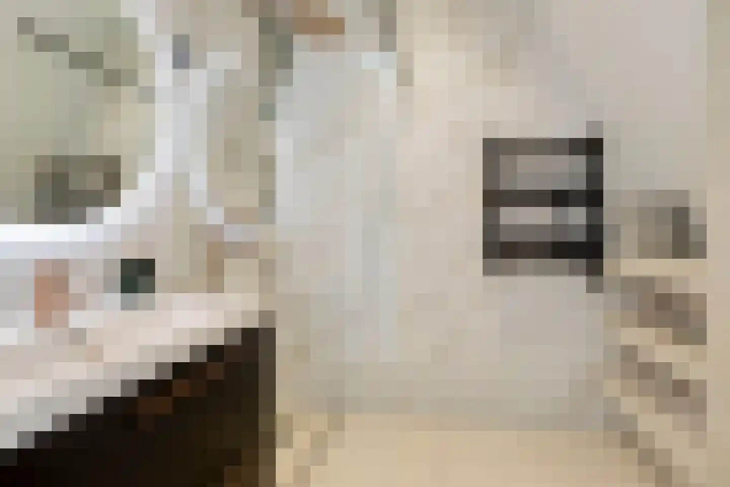 Stadhoudersweg 85 D Rotterdam thumbnail 19