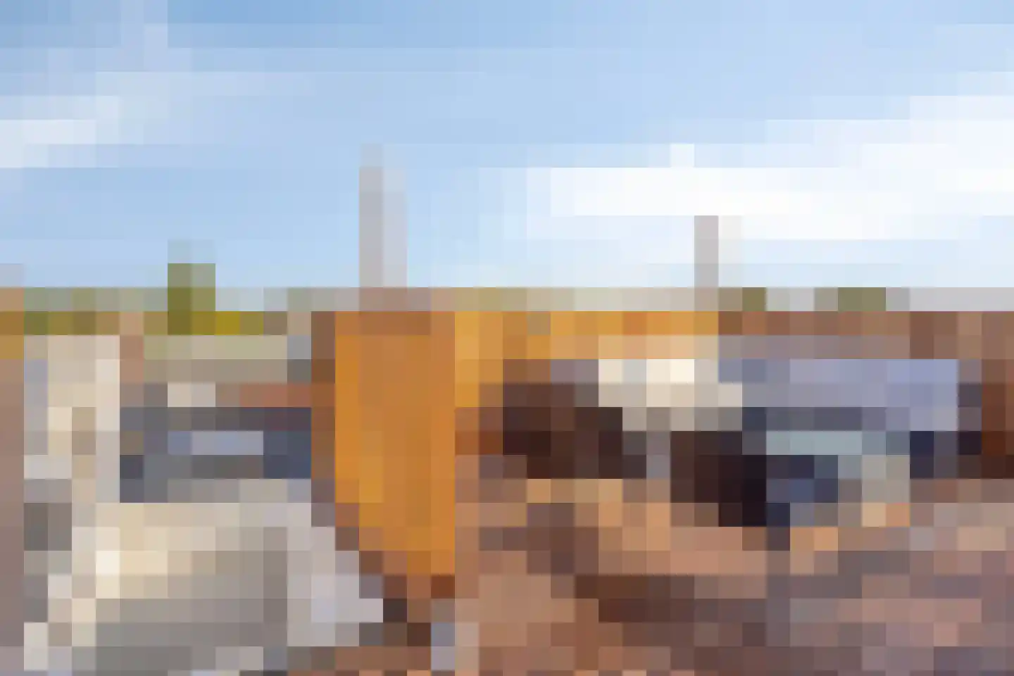 Stadhoudersweg 85 D Rotterdam thumbnail 31