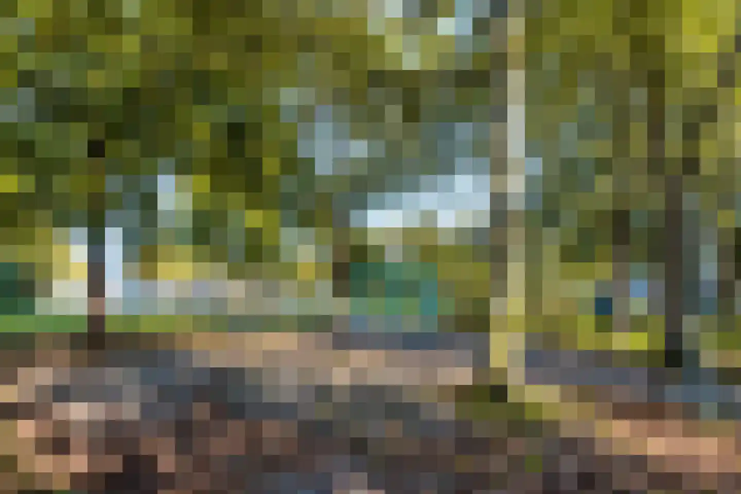 Stadhoudersweg 85 D Rotterdam thumbnail 35