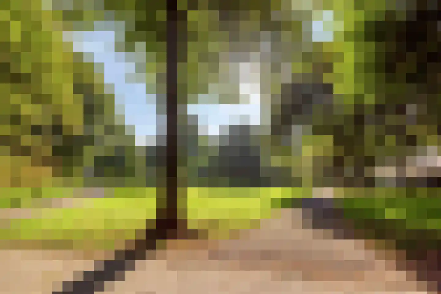 Stadhoudersweg 85 D Rotterdam thumbnail 36
