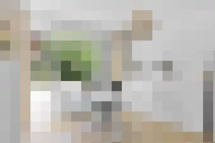Stadhoudersweg 86 B Rotterdam thumbnail 13