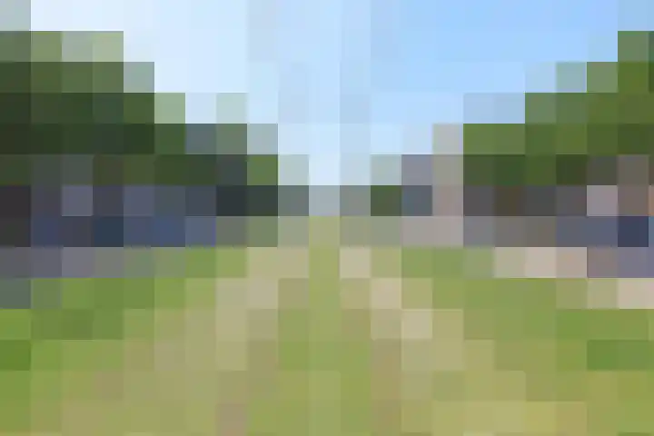 Stadhoudersweg 86 B Rotterdam thumbnail 25