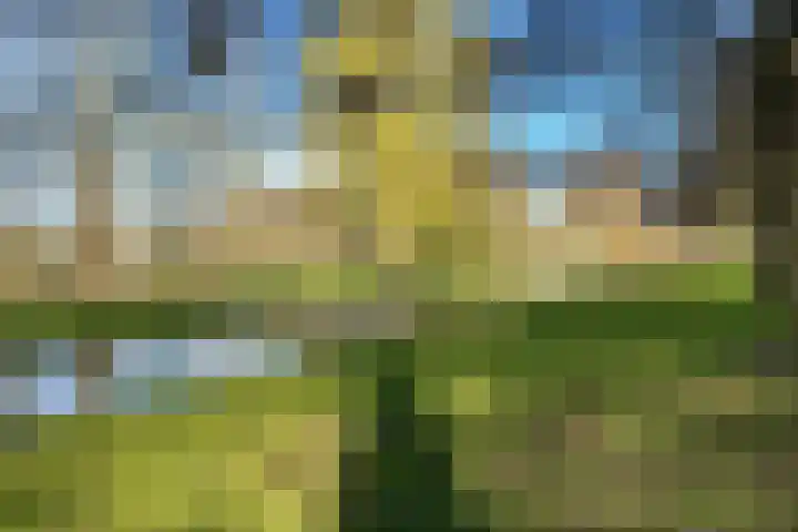 Stadhoudersweg 86 B Rotterdam thumbnail 28