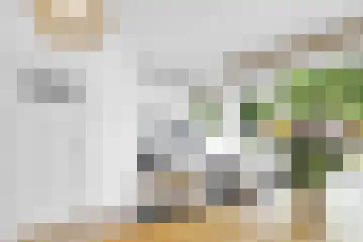 Stadhoudersweg 86 B Rotterdam thumbnail 4