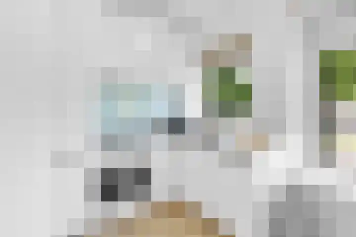 Stadhoudersweg 86 B Rotterdam thumbnail 6