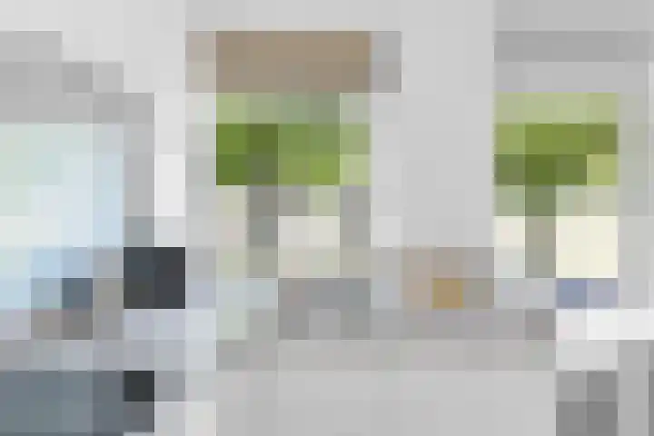 Stadhoudersweg 86 B Rotterdam thumbnail 7