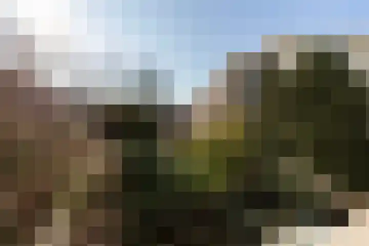 Stadhoudersweg 90 C Rotterdam thumbnail 18