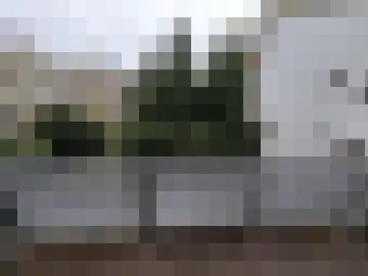 Stadhoudersweg 92 C Rotterdam thumbnail 11