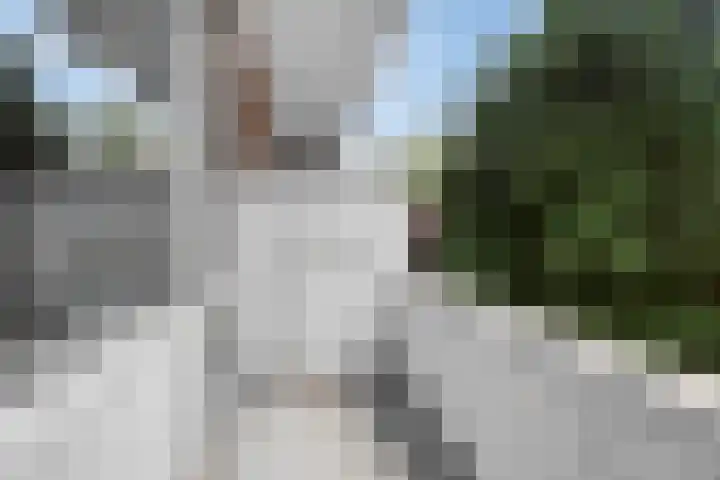 Stadhoudersweg 94 C Rotterdam thumbnail 11