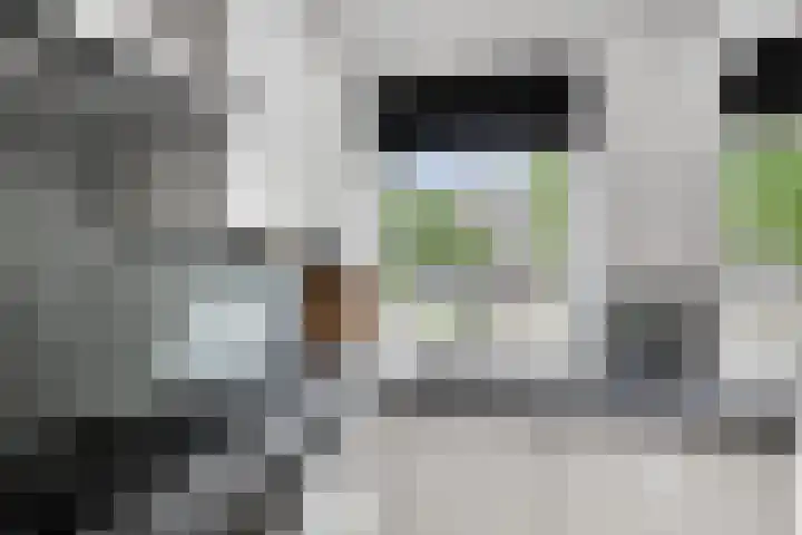Stadhoudersweg 94 C Rotterdam thumbnail 7
