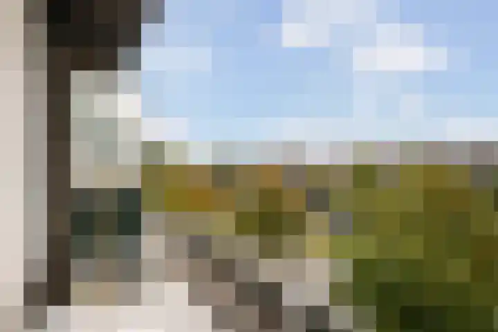 Stadhoudersweg 95 C Rotterdam thumbnail 19