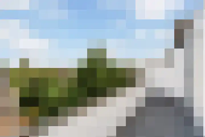 Stadhoudersweg 95 C Rotterdam thumbnail 22