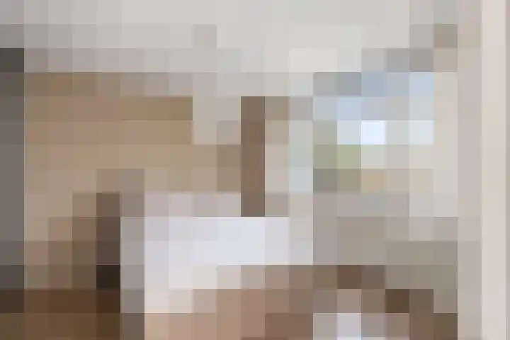 Stadhoudersweg 95 C Rotterdam thumbnail 35