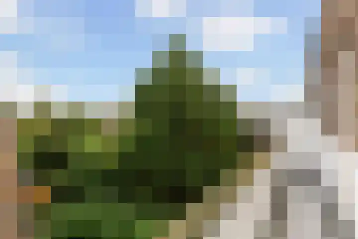 Stadhoudersweg 95 C Rotterdam thumbnail 41
