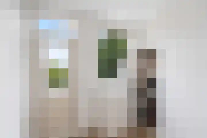 Stadhoudersweg 95 C Rotterdam thumbnail 43