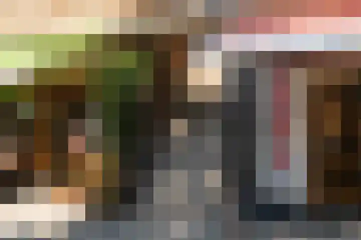 Stadhoudersweg 95 C Rotterdam thumbnail 57
