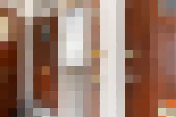 Stadhoudersweg 95 C Rotterdam thumbnail 58