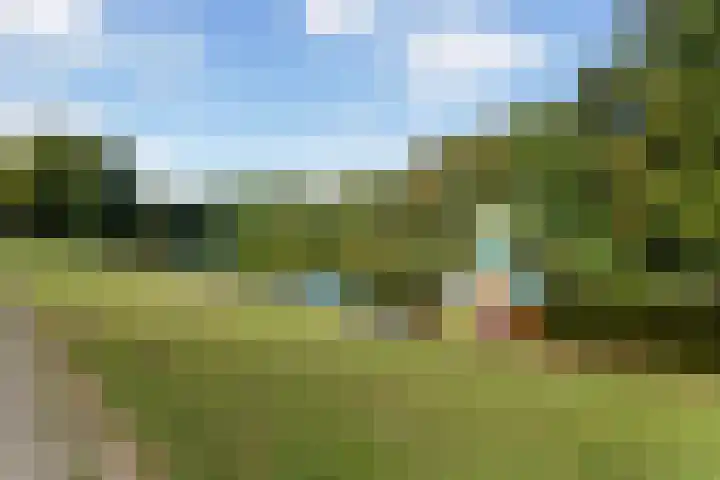Stadhoudersweg 95 C Rotterdam thumbnail 6