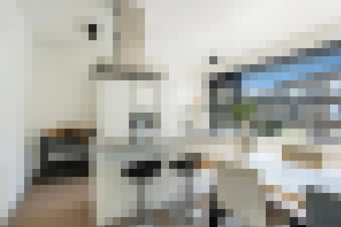 Stadhoudersweg 96 A Rotterdam thumbnail 14