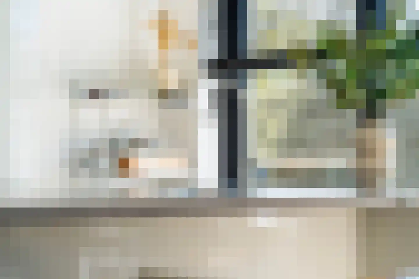 Stadhoudersweg 96 A Rotterdam thumbnail 17