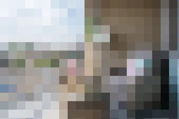 Stadhuisplein 201 Veghel thumbnail 6