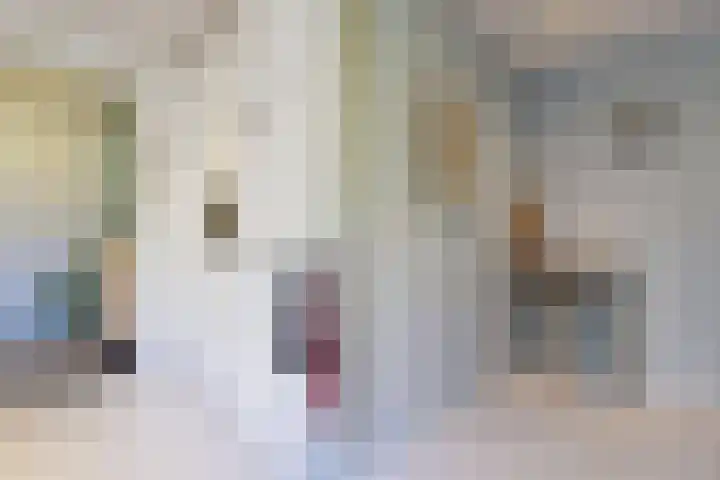 Stadhuisring 16 Klundert thumbnail 32