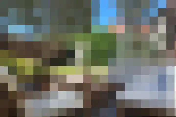 Stadhuisring 16 Klundert thumbnail 72