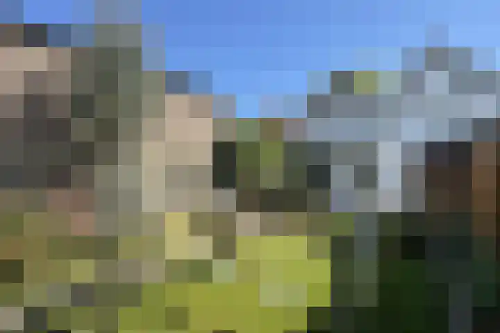Stadhuisring 16 Klundert thumbnail 75
