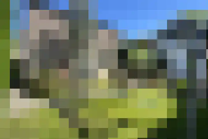 Stadhuisring 16 Klundert thumbnail 76