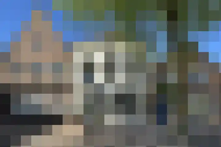 Stadhuisring 16 Klundert thumbnail 79