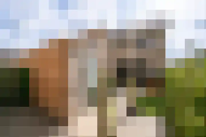 Stadion 10 Oss thumbnail 19