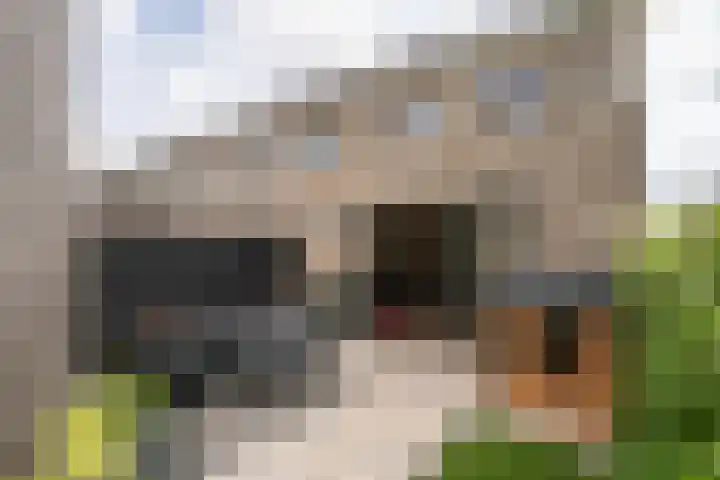 Stadion 10 Oss thumbnail 20