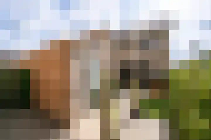 Stadion 10 Oss thumbnail 4