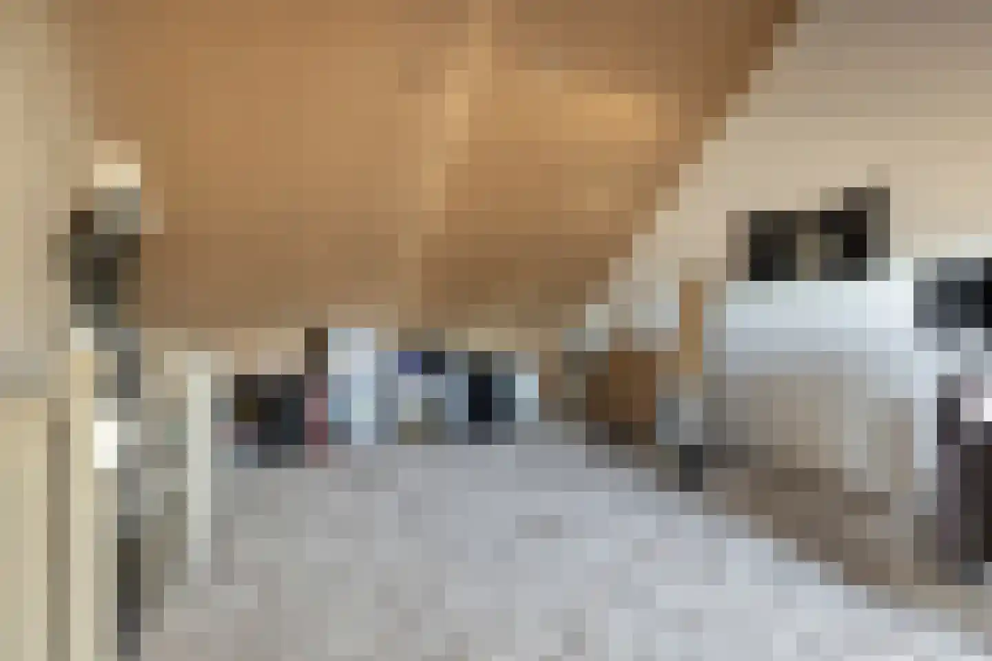 Stadion 8 Oss thumbnail 22