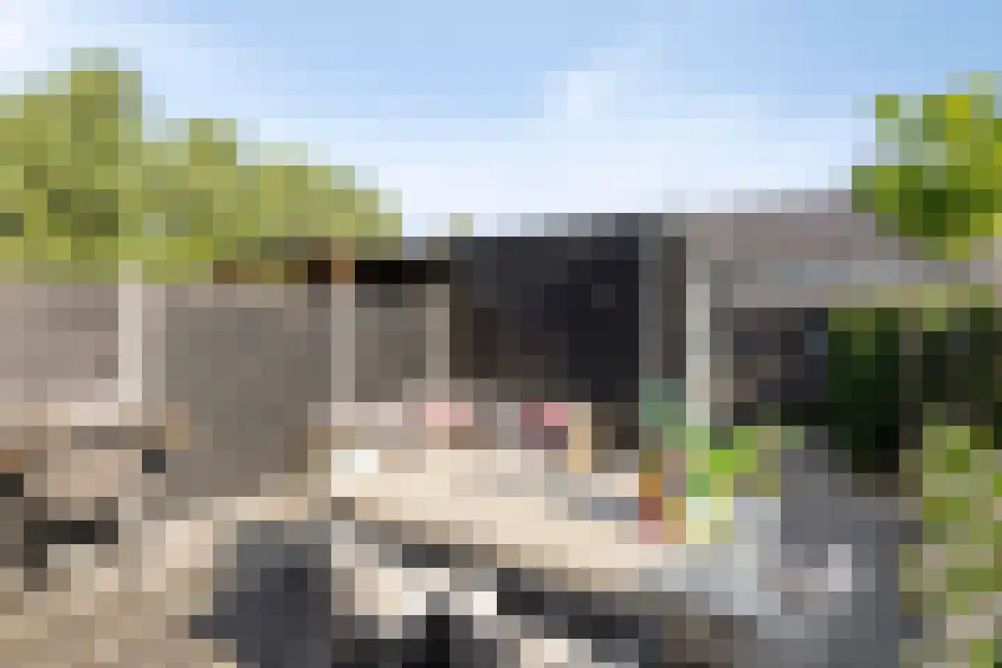 Stadion 8 Oss thumbnail 25