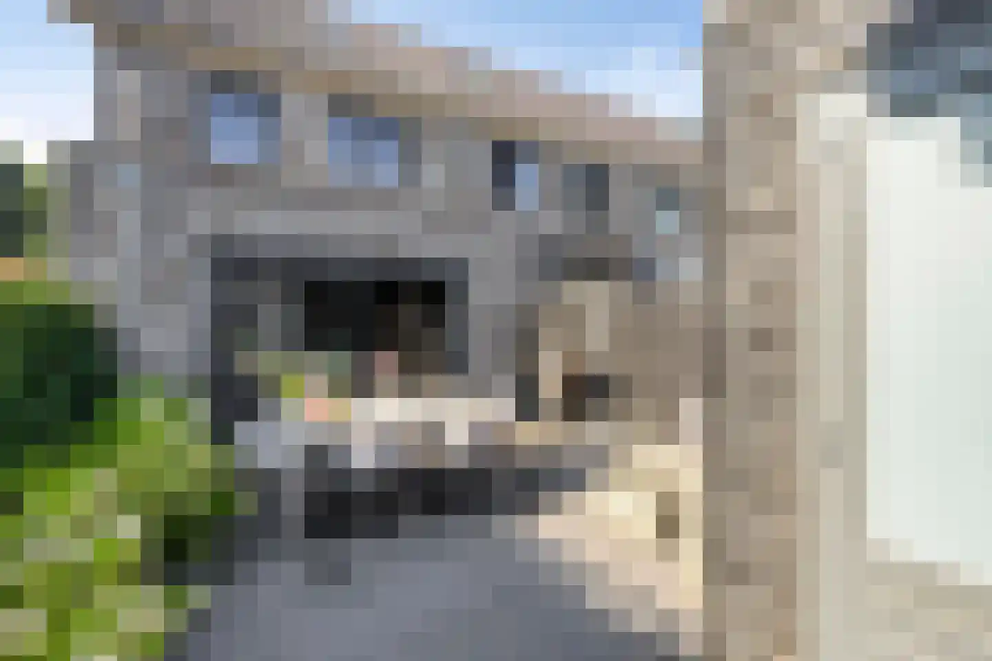 Stadion 8 Oss thumbnail 26