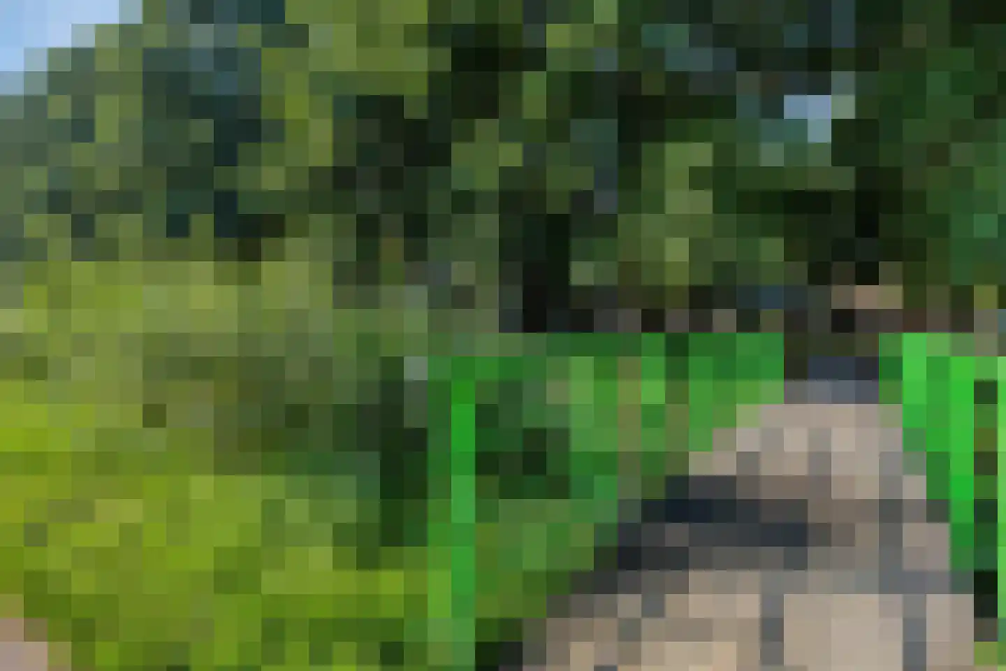 Stadion 8 Oss thumbnail 30