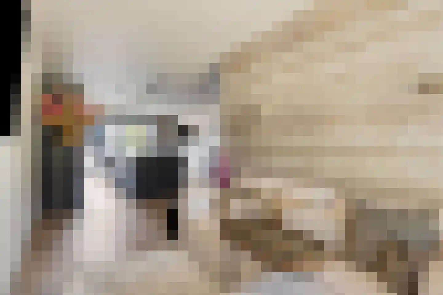 Stadion 8 Oss thumbnail 4