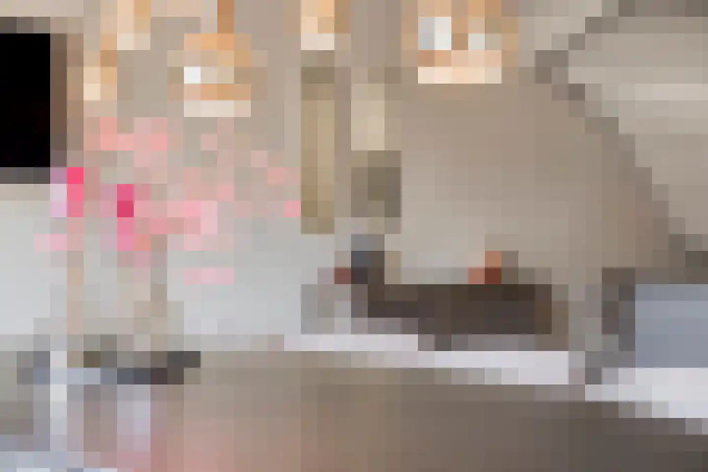 Stadion 8 Oss thumbnail 8