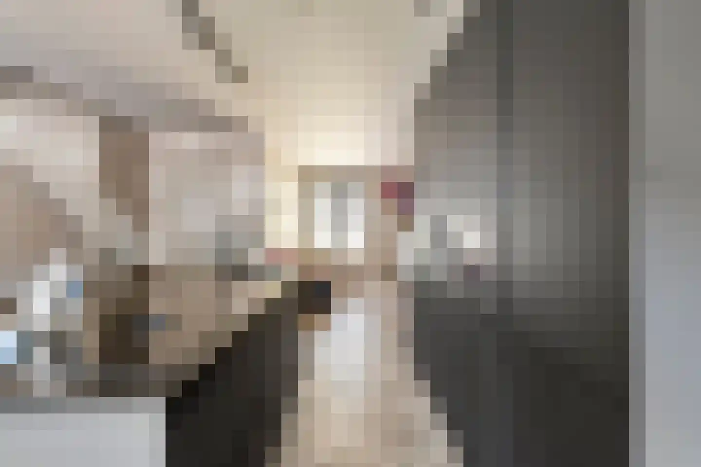 Stadion 8 Oss thumbnail 9