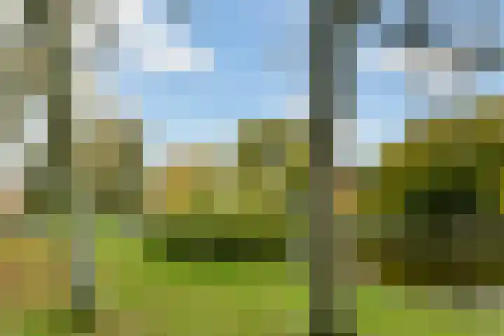Stadionkade 140 Amsterdam thumbnail 23