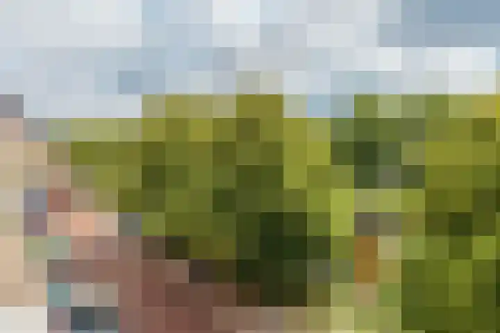 Stadionkade 158 1 Amsterdam thumbnail 6