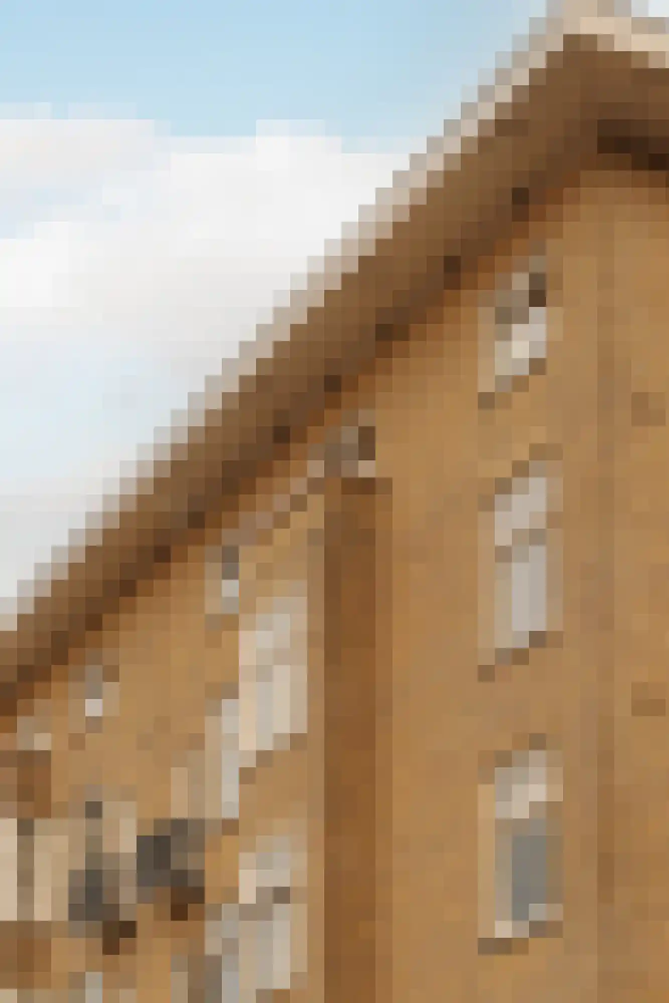Stadionkade 161 1 Amsterdam thumbnail 26