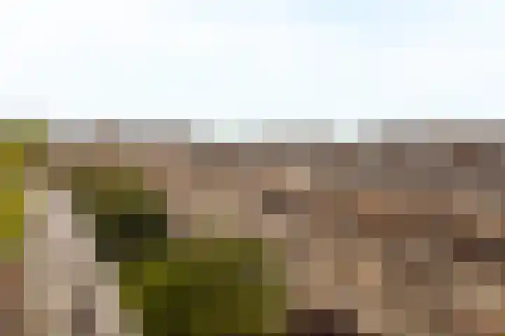 Stadionkade 21 1 Amsterdam thumbnail 38