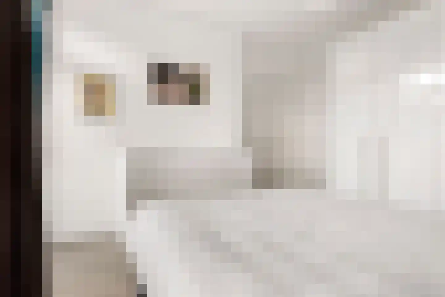 Stadionkade 69 2 Amsterdam thumbnail 21